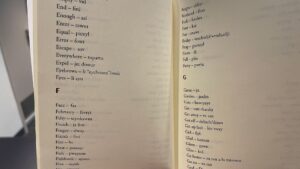A Michif-French dictionary