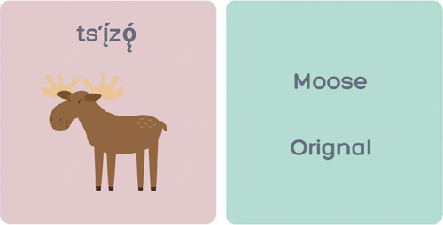 Moose image and text